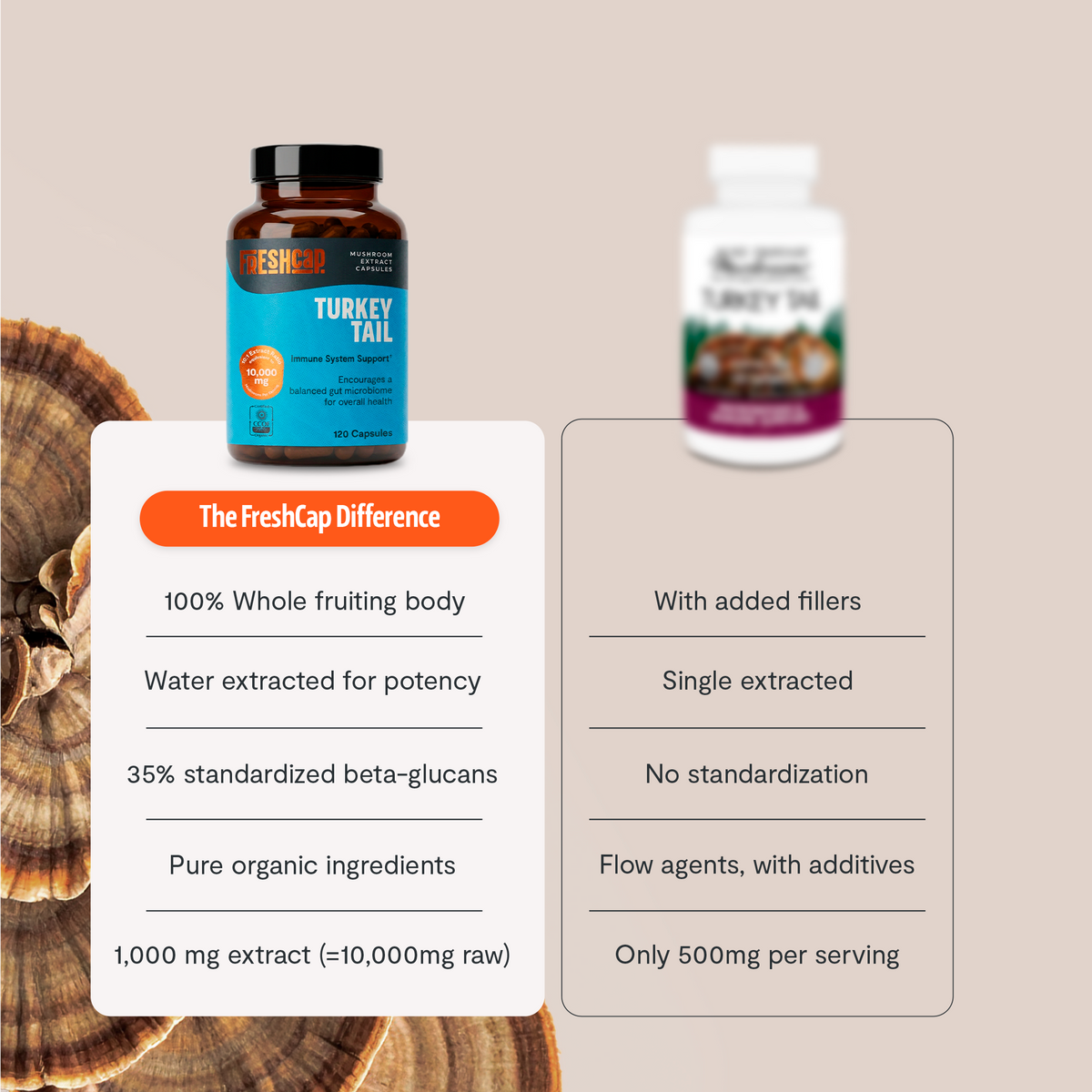 Organic Turkey Tail Mushroom Capsules