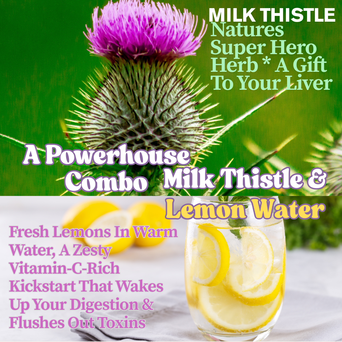 Milk Thistle Liver Repair Support, Fortified With Dandelion, Beet Root, Artichoke